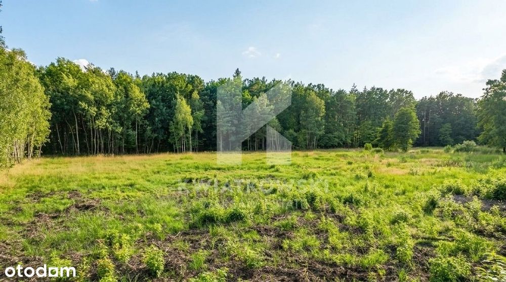 Wiązowna | Las | Świder | Działka budowlana 7211m² - Więcej