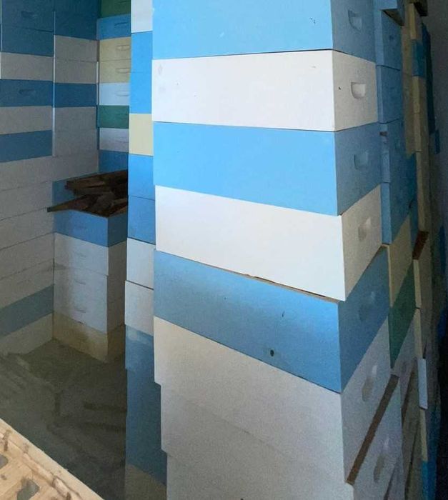 APICULTURA (material 100% novo) colmeias c/ quadros (ninhos Lusitana)