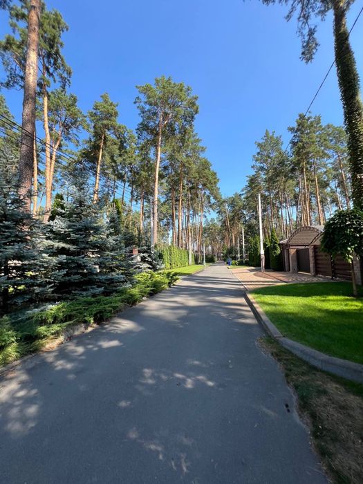 Чудовий будинок в лісовій Бучі Гоголя