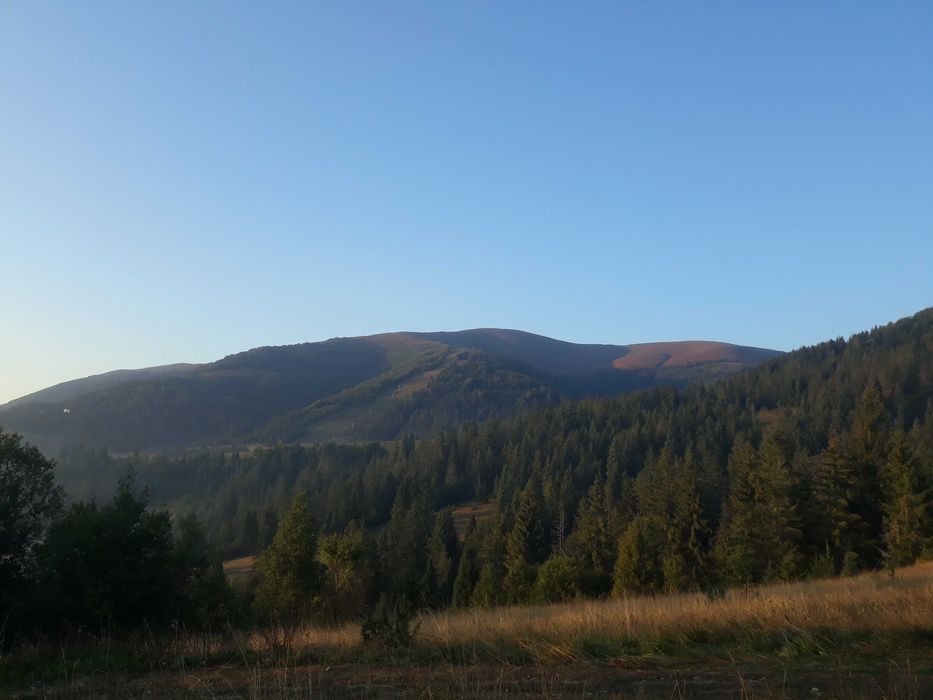 Участок в КАРПАТАХ