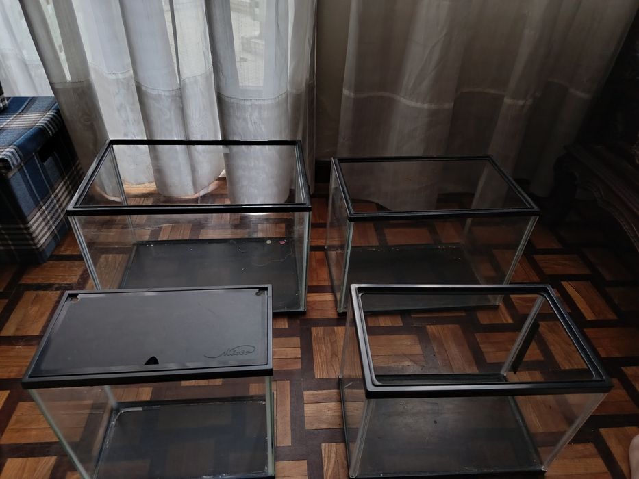 Vários aquários de vários tamanhos