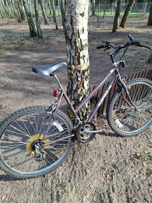 Rower Magna Zanzibar miejski