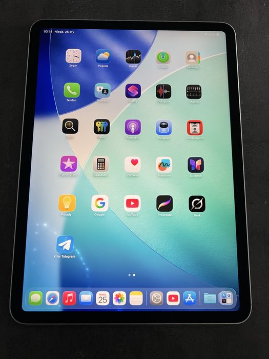 iPad Pro 11  1 gen Opis