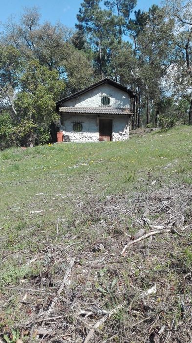 Quintinha - terreno vedado com uma  casita