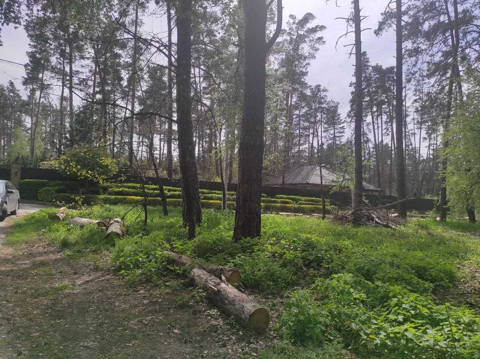 Продам участок под жилую застройку 12,9 соток с. Плюты ЖМ Лесной Конча