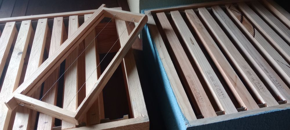 Abelhas alças com quadros