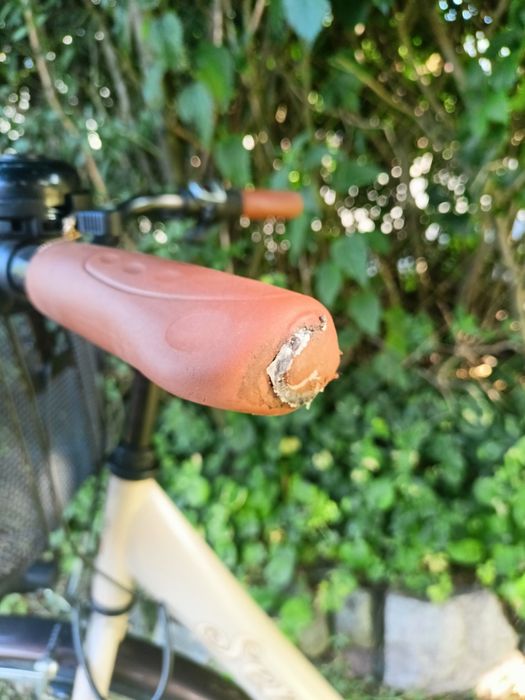 Rower miejski SENATOR