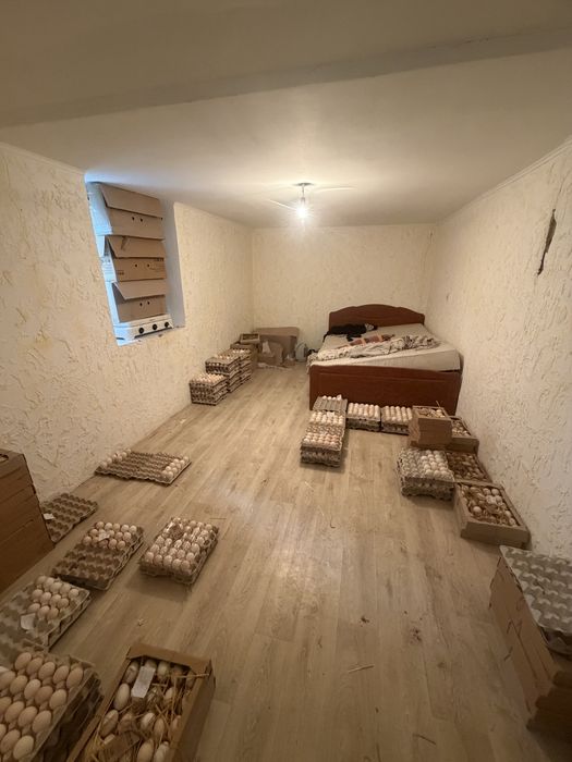Продам Птицеферму с прмещениями
