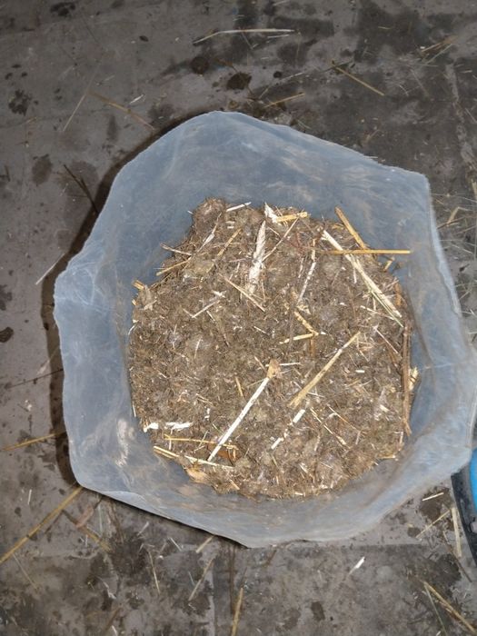 Obornik koński, nawóz naturalny