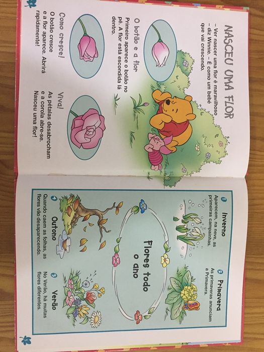 Livros Winnie the Pooh (coleção)