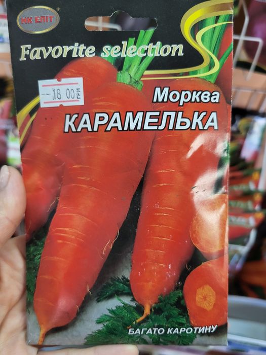 Насіння моркви 20 грам за 18 гривень