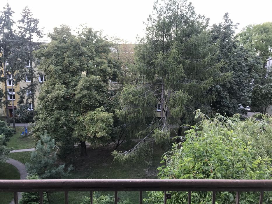 Pokój do wynajęcia / Room for rent - Widok 4