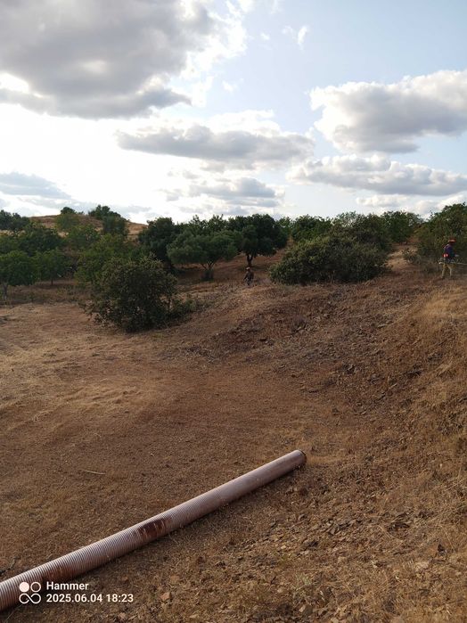 Serviços agrícolas/Agricultural services, land clearing