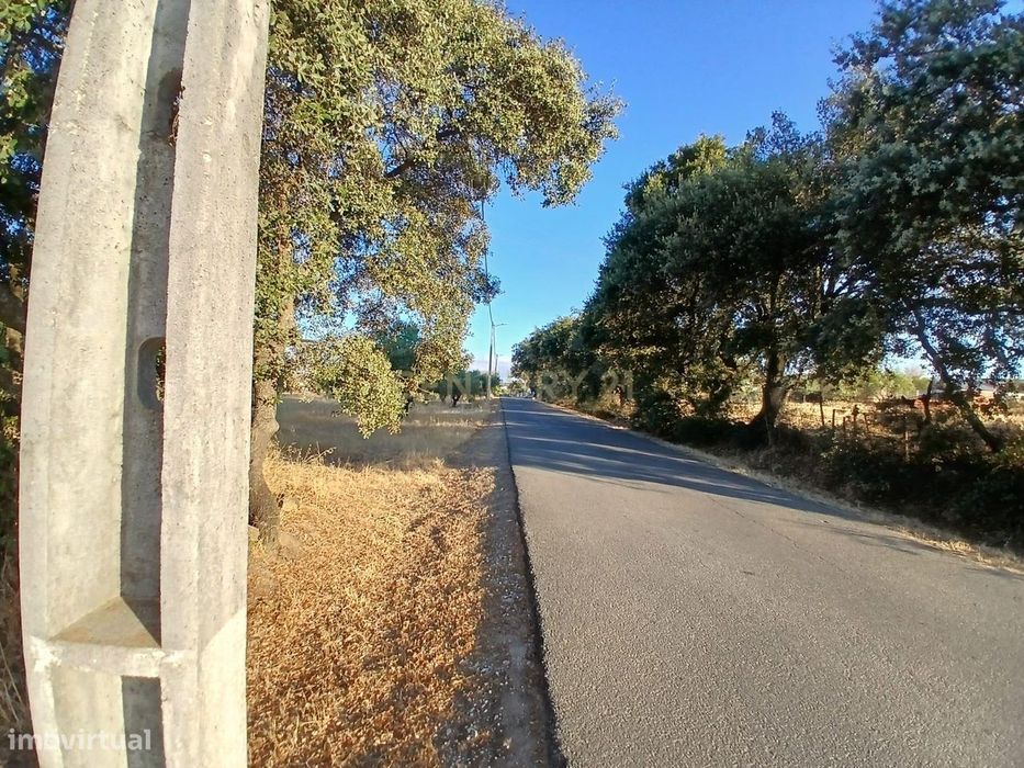 Central Plot in São Pedro do Corval, View of Rocha dos Namorados