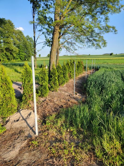 Działka nr 11 w miejscowości Koziołki. Gm Dmosin  2200m² piękna