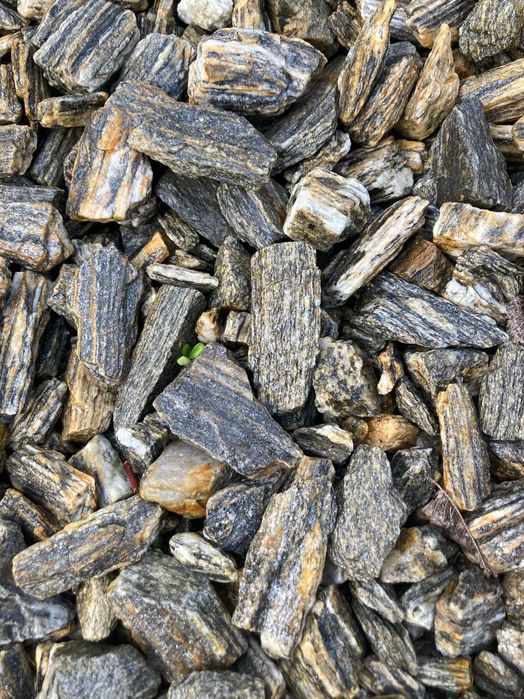 Kora kamienna                                               .