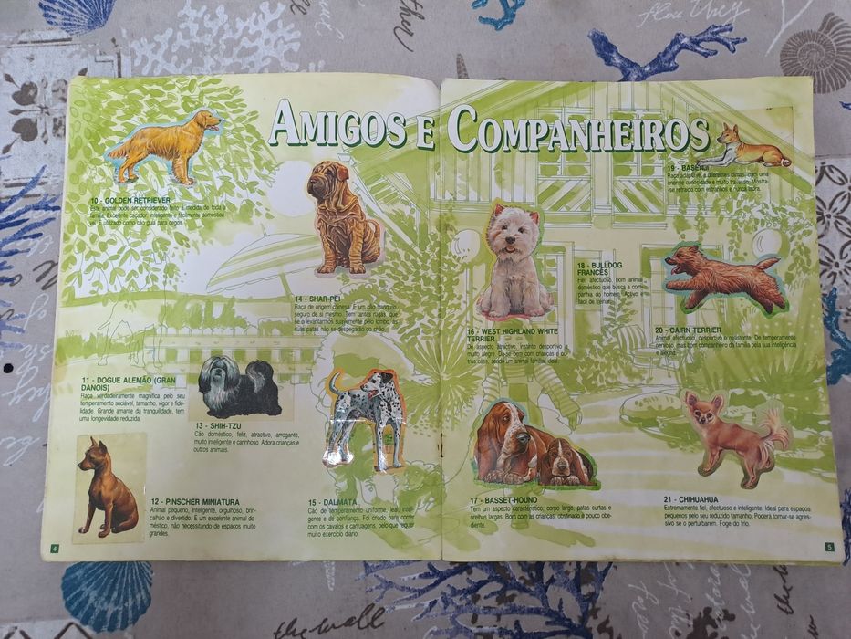 Cardeneta da bollycao - o teu melhor amigo 1°