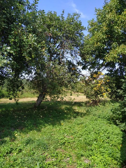 Продається будинок, село Крупове, Дубровиця