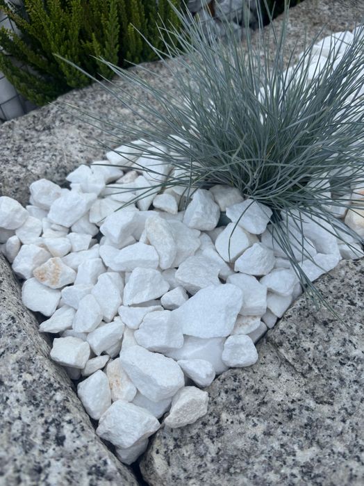 otoczak grys śnieżnobiały Thassos sprzedaż hurtowa i detaliczna