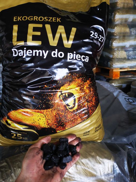 Groszek LEW Sobianek 29 MJ - najlepszy w regionie