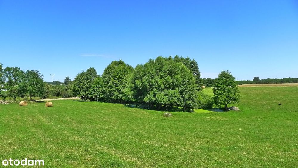 Suwałki - działki budowlane nad jeziorem