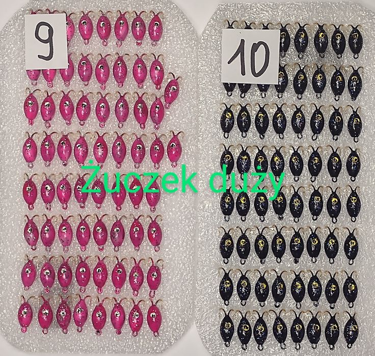 Żuczek podlodowy duży