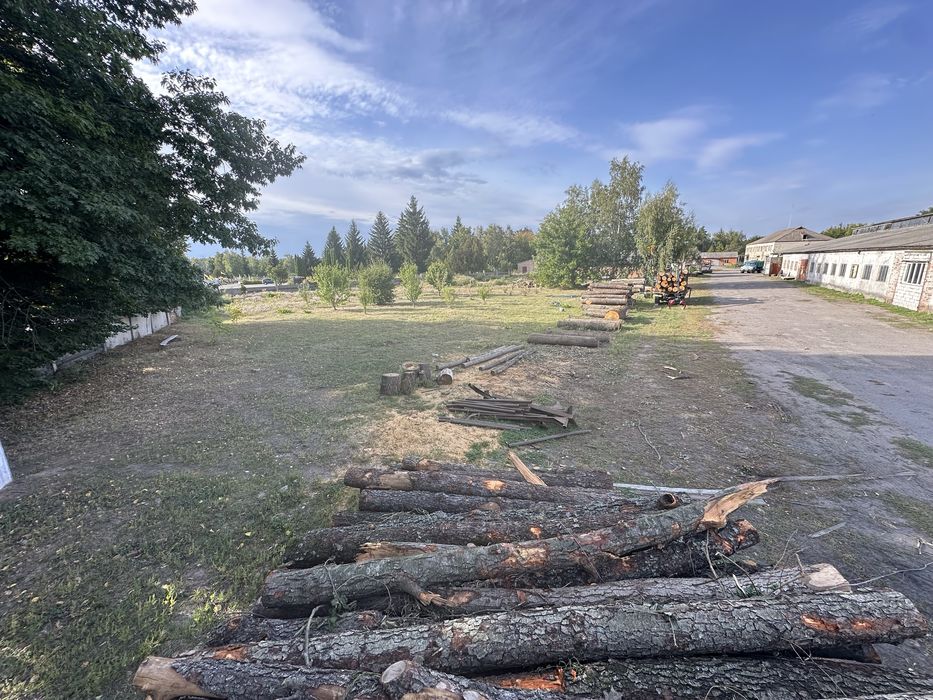 Продам приміщення 1500 + кв.м. Торг