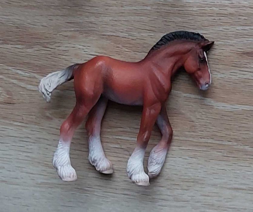 Konik Collecta-źrebak