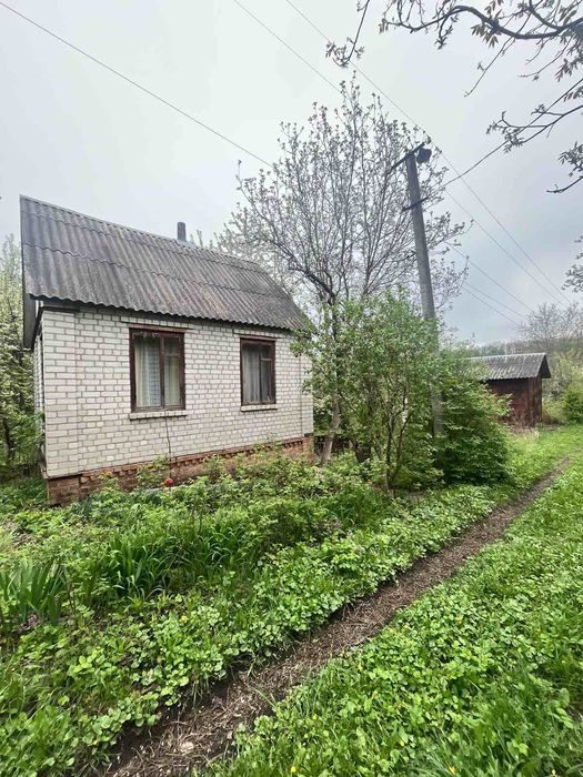 ‼️Продам дачу, Богодуховский район, село Газовое‼️