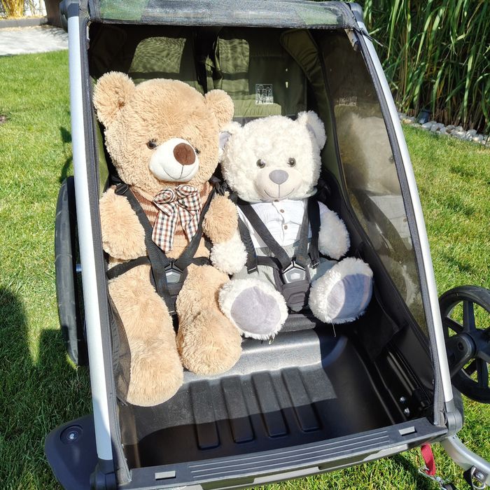 Przyczepka rowerowa Thule Chariot Cab 2