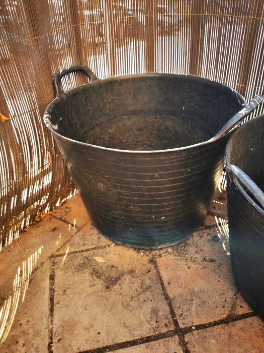 Vasos de plantas todos os tamanhos
