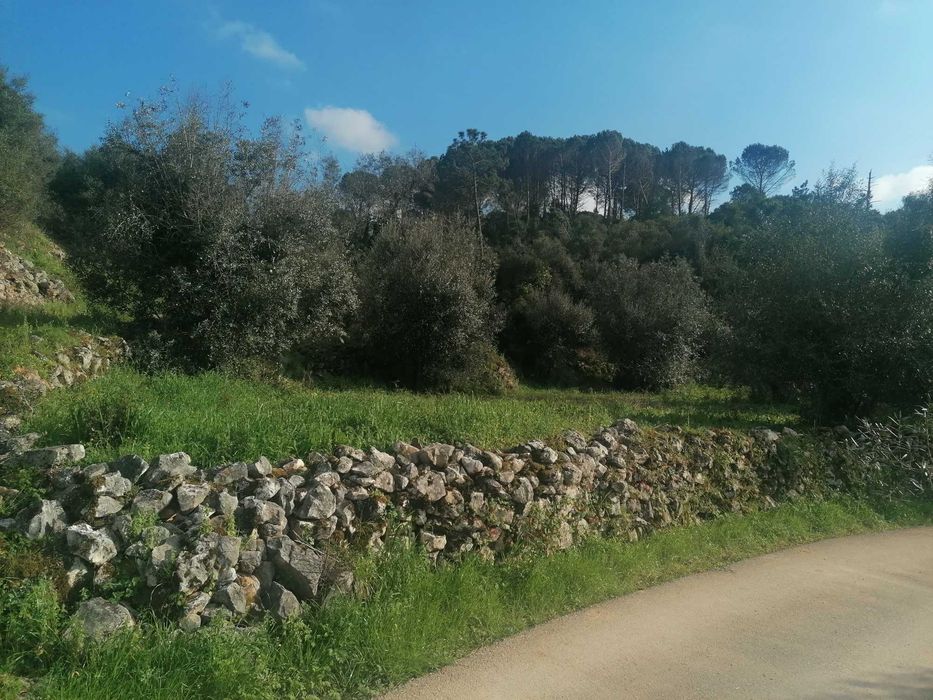 Vendem-se terrenos com viabilidade de construção ou para utilização agricula a partir de 20.000 euros.