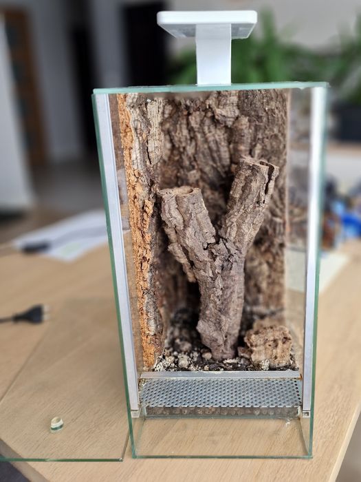 Terrarium 20x20x40 x Lampą LED i wyposażeniem