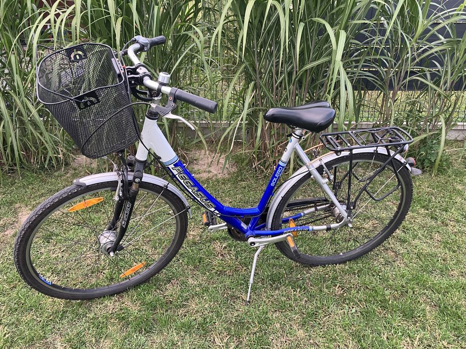 Rower damka Pegasus