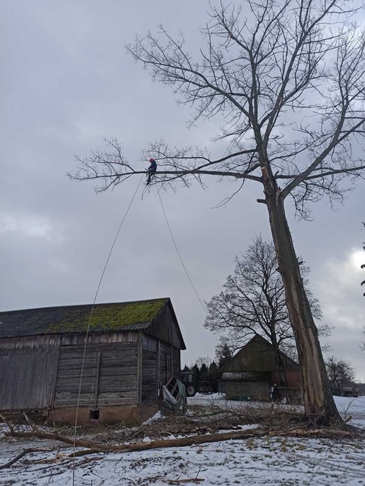 Usuwanie drzew trudnych !