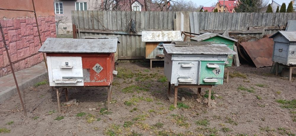 Продам вулики з підставками