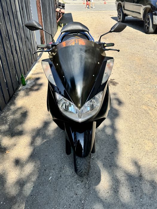 Ямажа маджесті 250