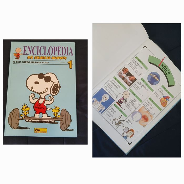 Various books in like-new condition