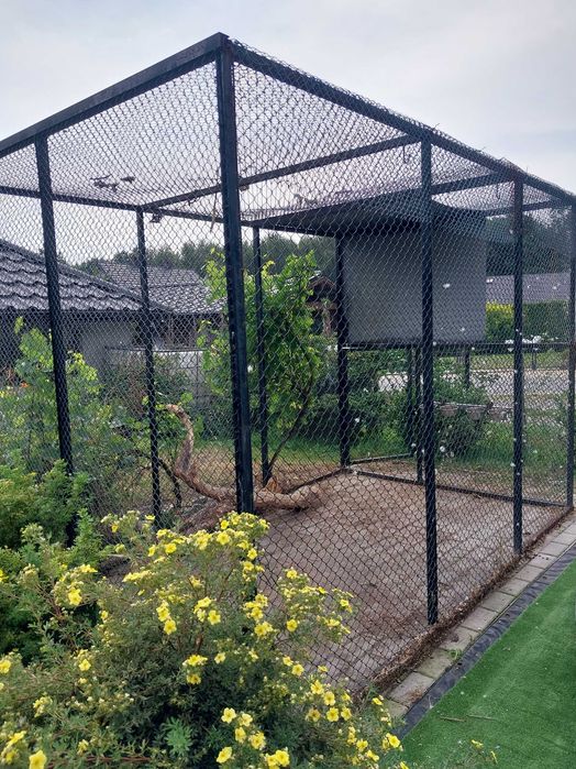 Woliera dla paug 300x185x200cm