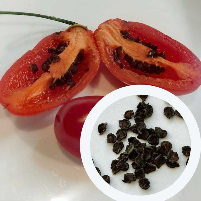 Перець гострий насіння (24 сорти) семена суперхотов острый гіркий