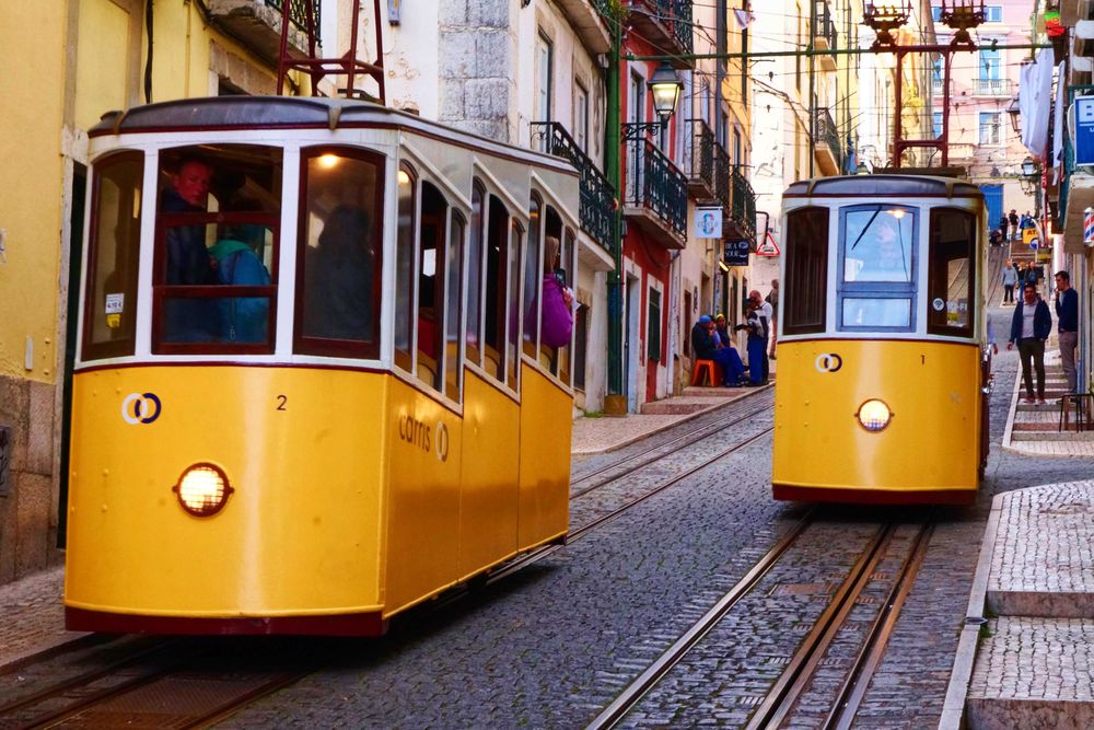 Portuguese Online Lessons with an Experienced Teacher and Certified Trainer