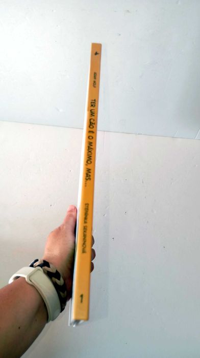 Ter um Cão é o Máximo, Mas...