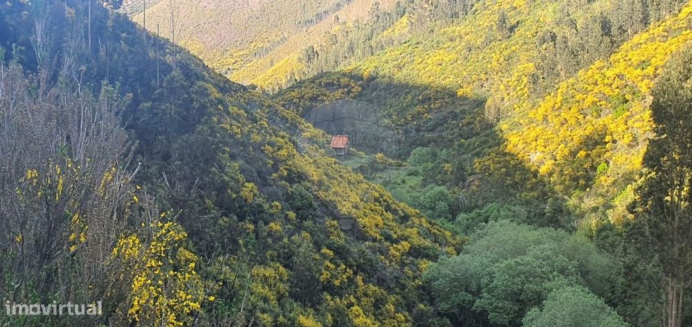 Terreno  para venda — Pampilhosa da Serra, Coimbra
