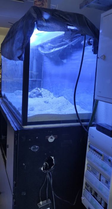 Aquário  300 litros - água salgada