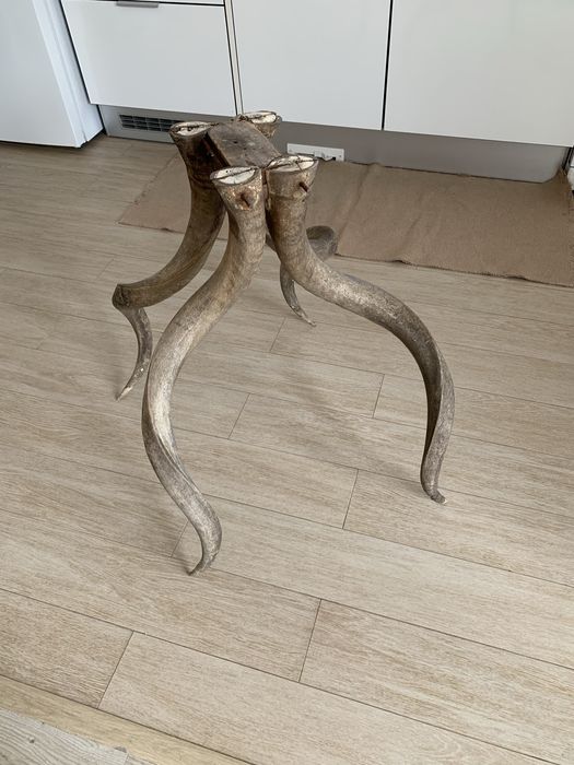 Pés para mesa em chifre verdadeiro