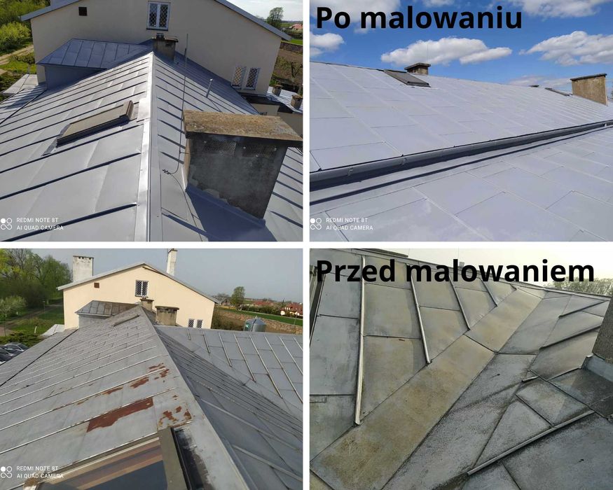 Mycie i malowanie dachów