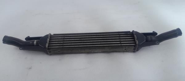 Radiador do intercooler FIAT Linea (323_)