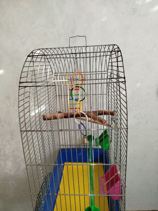 клітка для папуги