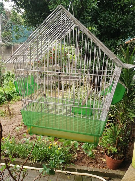 Gaiola para pássaros