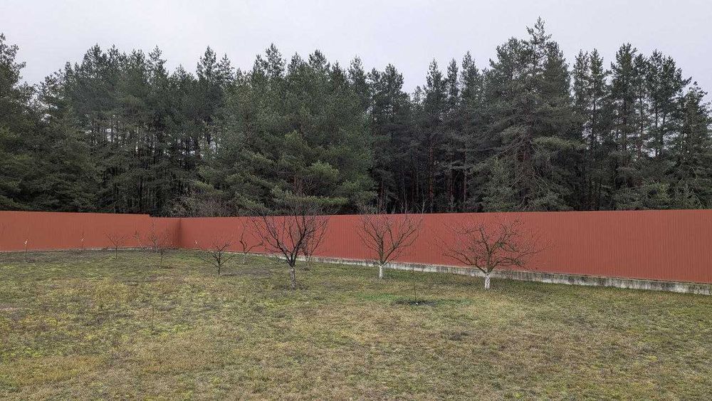 House in Pysarivka, Poltavskyy rayon - View 3